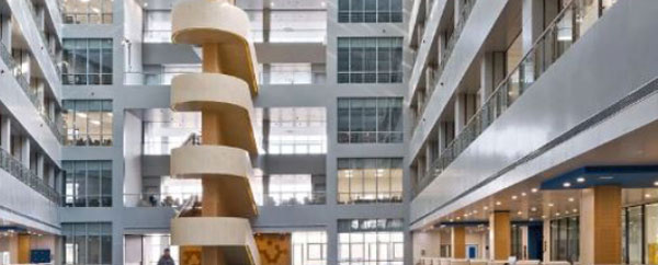 china inastudy (1) china inastudy (1)