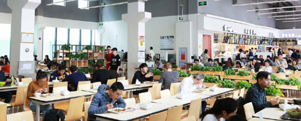 shenzhen inastudy (7) shenzhen inastudy (7)